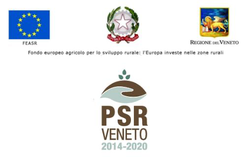 Fondo europeo agricolo per lo sviluppo rurale: L'Europa investe nelle zone rurali